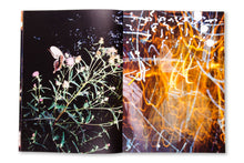 Load image into Gallery viewer, In Bloom by Jean-Vincent Simonet SPECIAL EDITION